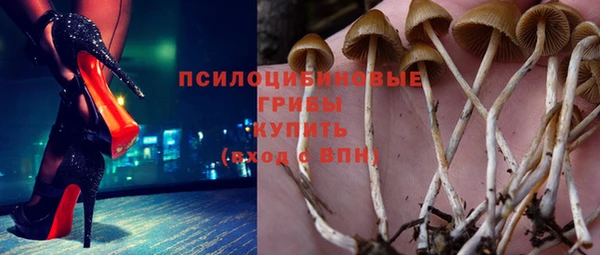спиды Кинешма